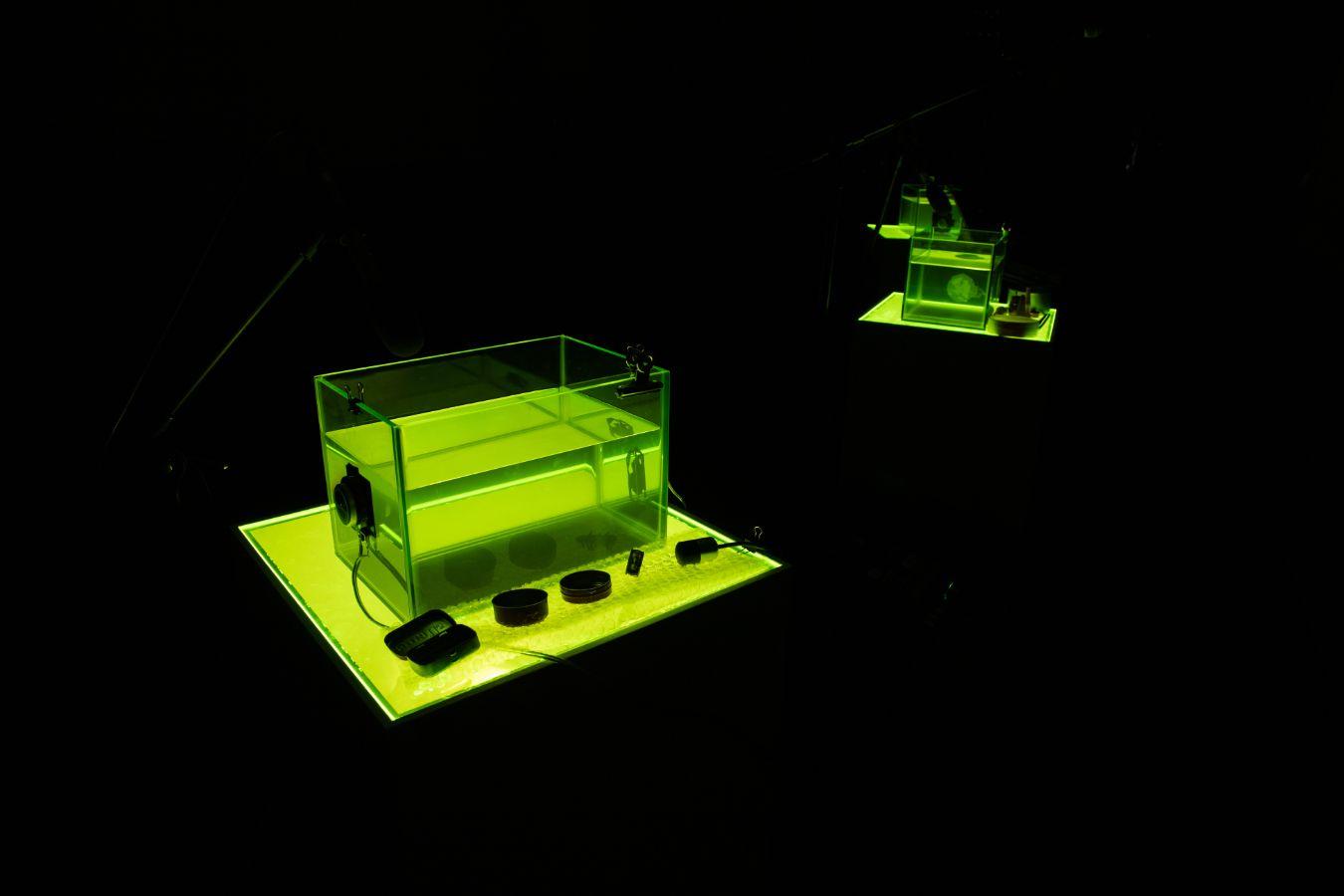 Two glowing green aquariums in a dark room