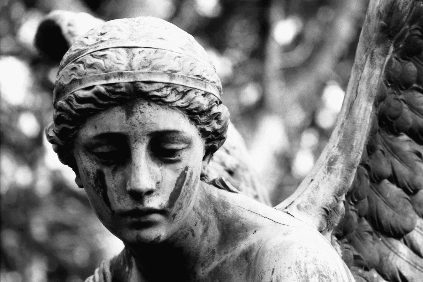 Portrait photograph of a stone angel