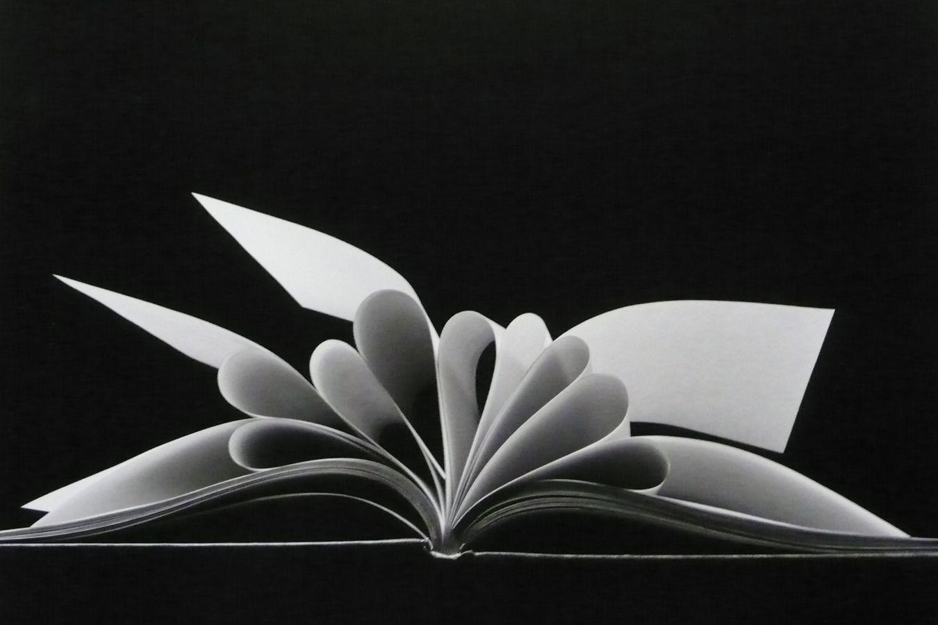 Ein aufgeschlagenes Buch, das von der Seite gezeigt wird. Einzelne Seitenblätter sind eingeschlagen.