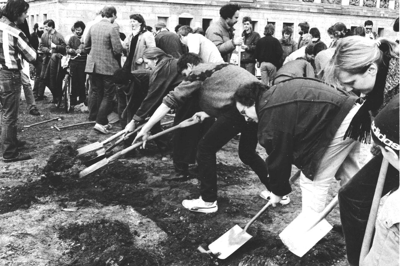 People with shovels stand in a row and dig.