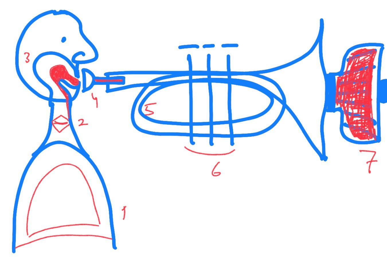 Einfache Zeichnung einer Person, die ein Blechblasinstrument spielt. Die für die Klangerzeugung wichtigen Stellen sind mit Ziffern markiert.