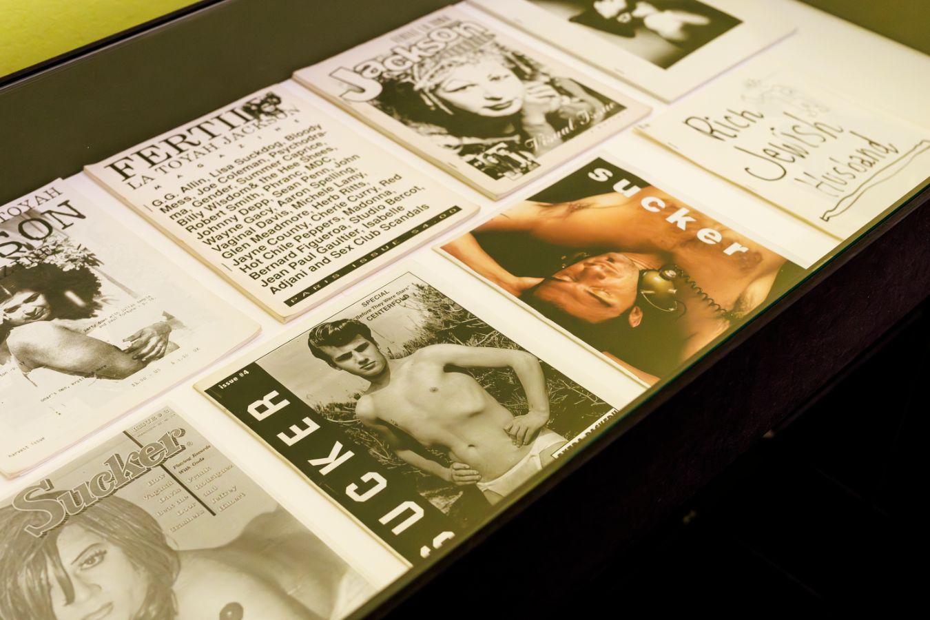 Vaginal Davis, Hofpfisterei, Detailansicht, Vaginal Davis: Fabelhaftes Produkt, Gropius Bau, 2025