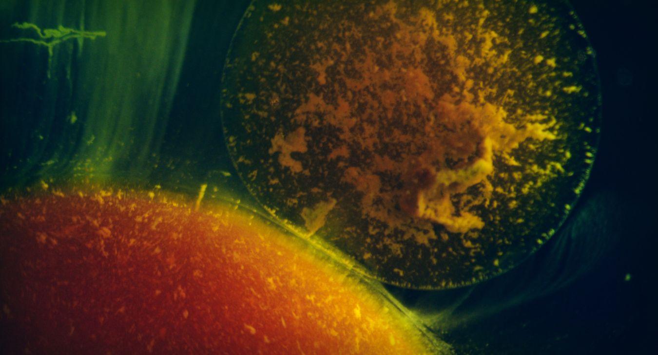 Philippe Parreno, Anywhen, 2017 (Filmstill) © Philippe Parreno. Courtesy the artist and Pilar Corrias, London, Gladstone Gallery, New York and Brussels, Esther Schipper, Berlin