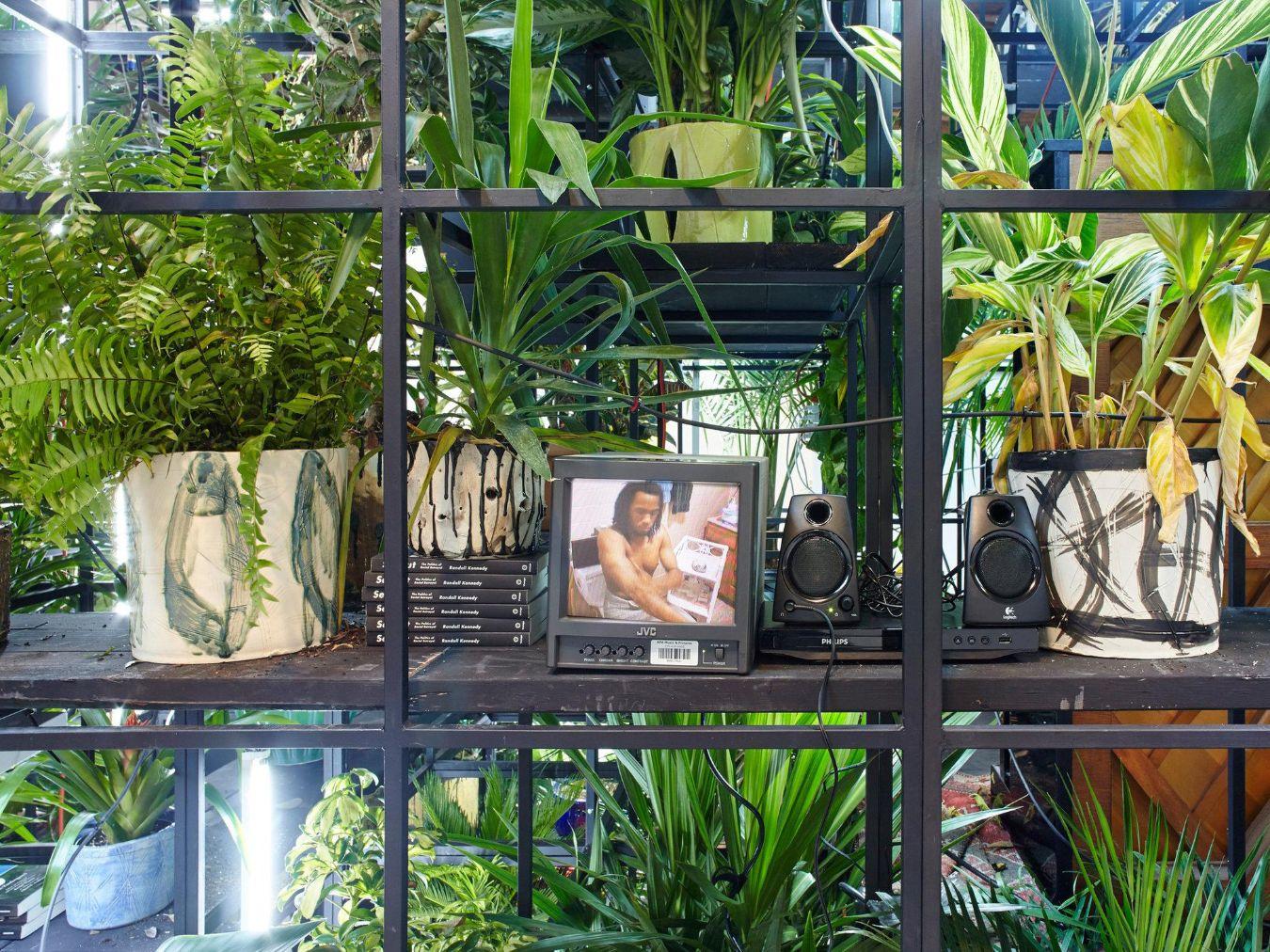 Rashid Johnson, „Antoine's Organ“ (Detail), 2016, Installationsansicht, Rashid Johnson. Fly Away Hauser & Wirth, New York NY, 2016, Foto: Martin Parsekian Rashid Johnson, Courtesy: der Künstler und Hauser & Wirth