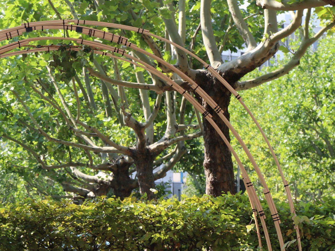 Parkplatzgarten am Gropius Bau © Luis Kürschner