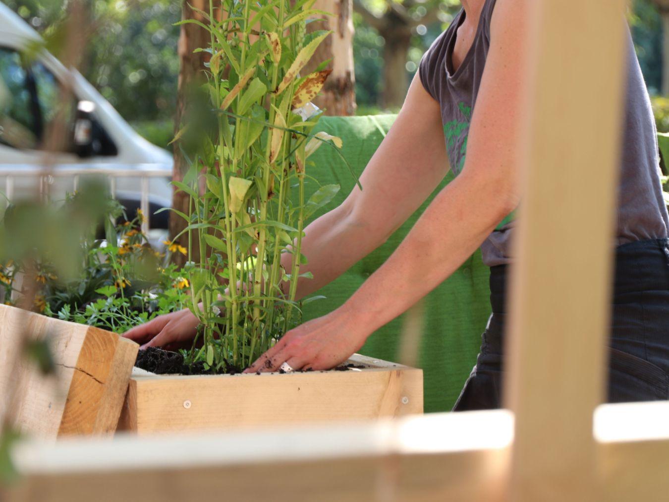 Parkplatzgarten at the Gropius Bau © Luis Kürschner