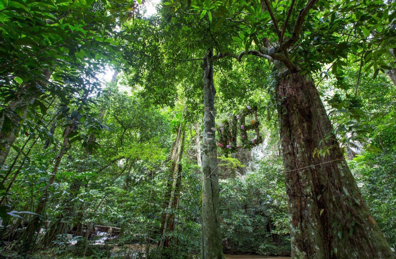Zheng Bo, LIFE IS HARD. WHY DO WE MAKE IT SO EASY?, 2018. Commissioned by Thailand Biennale, Krabi, and supported by Hong Kong Arts Development Council. Photo: Abdulromae Taleh