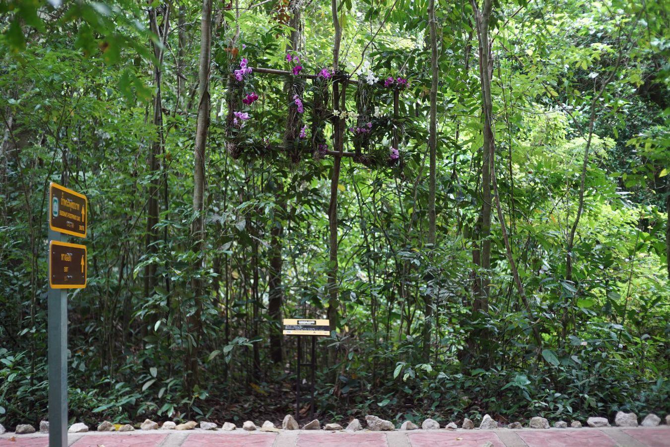 Zheng Bo, LIFE IS HARD. WHY DO WE MAKE IT SO EASY?, 2018. Commissioned by Thailand Biennale, Krabi, and supported by Hong Kong Arts Development Council. Photo: Abdulromae Taleh