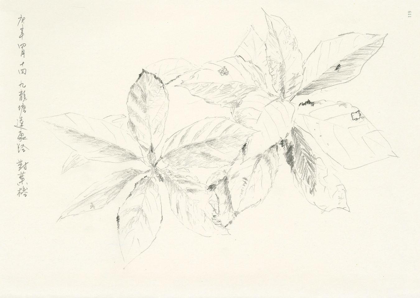 Zheng Bo, Drawing Life, 2020.