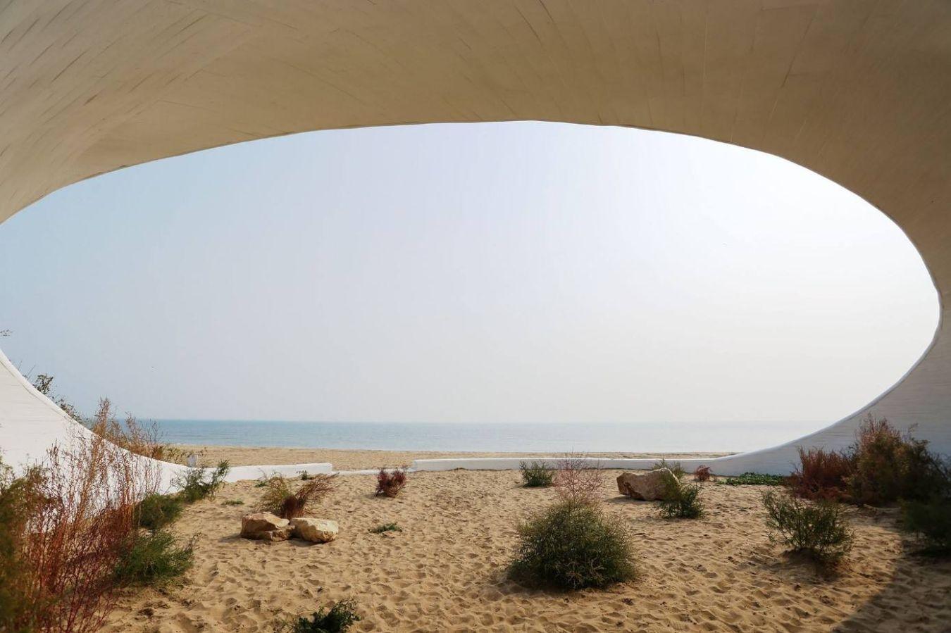 Zheng Bo, Dune Botanical Garden, 2018