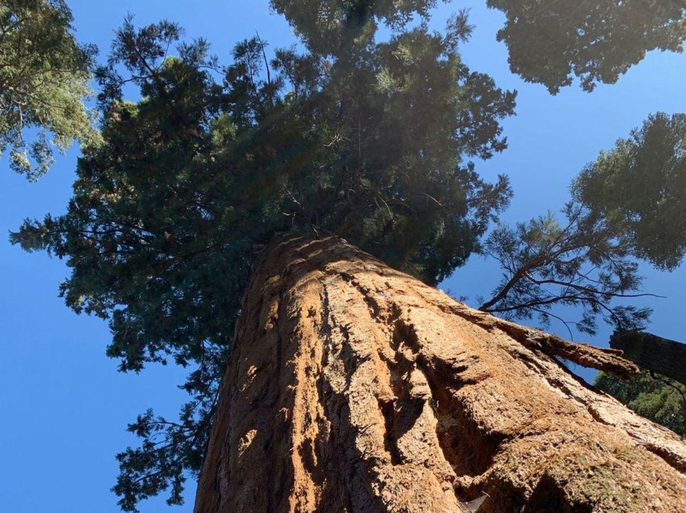 Photo: Bill Fontana (2019)