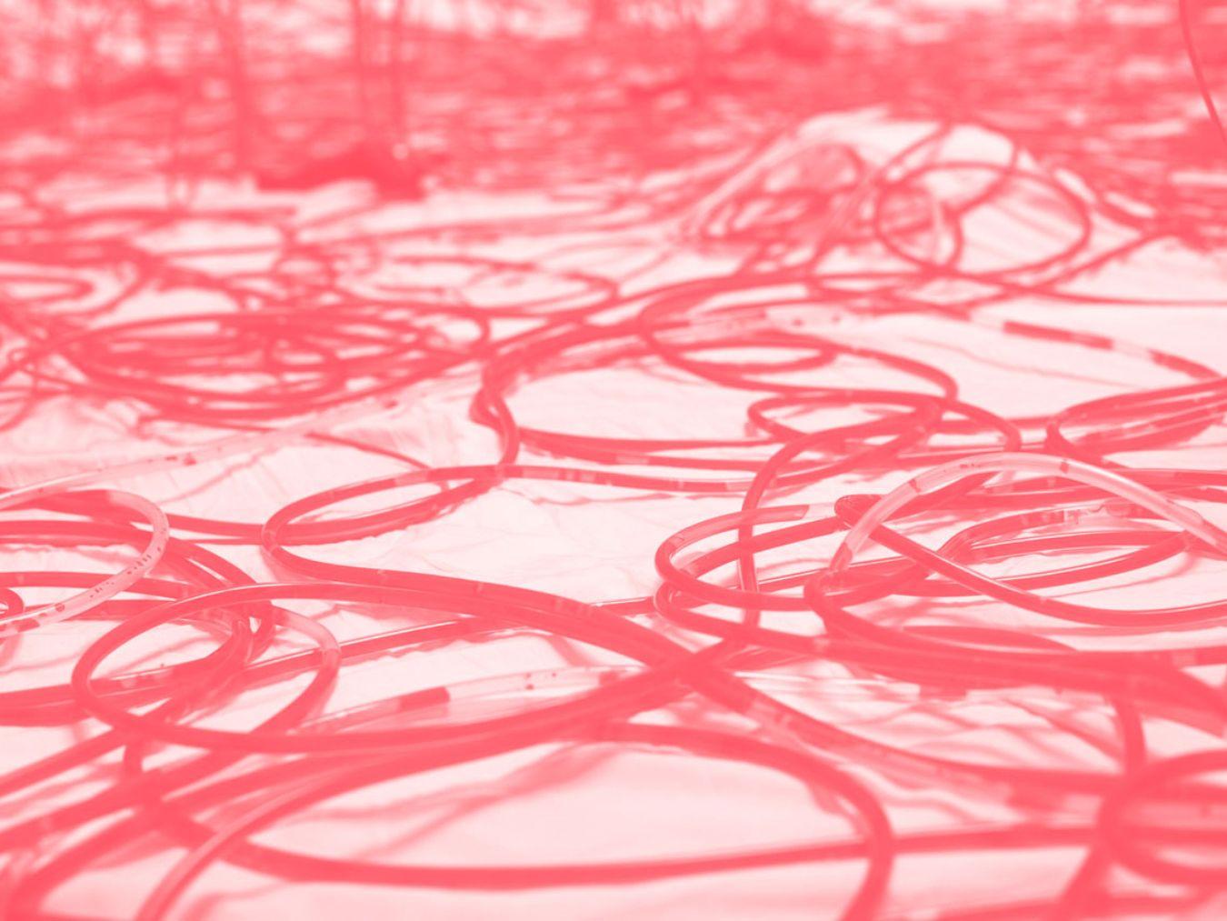 alif © Chiharu Shiota