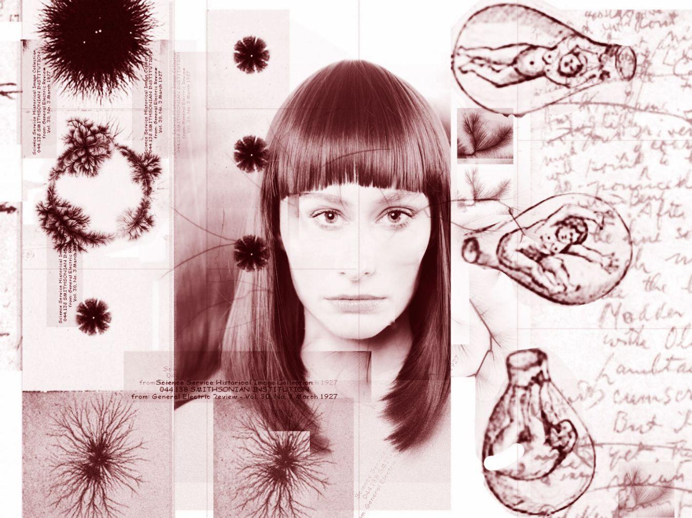 Eva Reiter „The Lichtenberg Figures“ © Eva Reiter