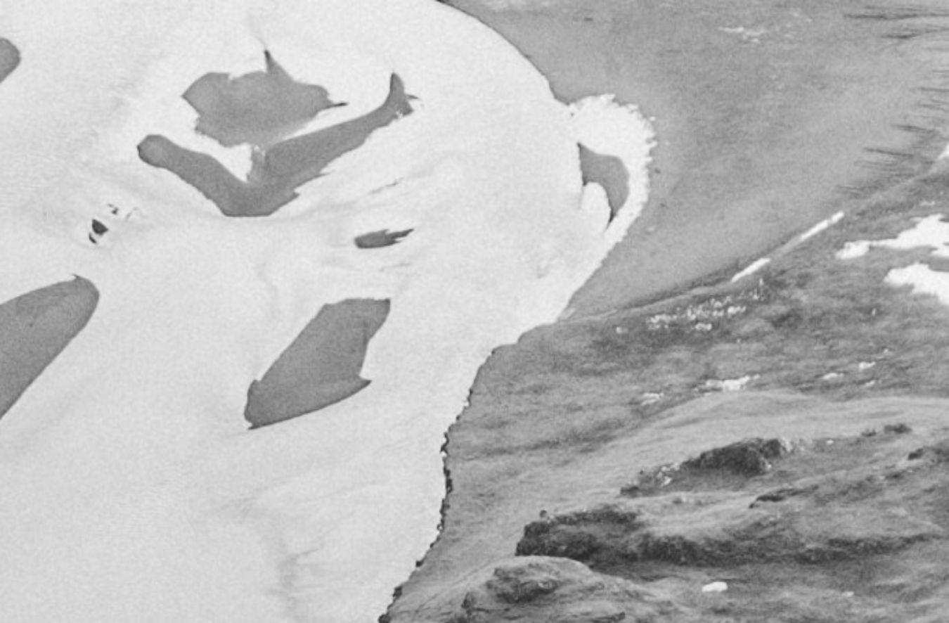 Flussdelta in Island © iStock.com / Oleh_Slobodeniuk