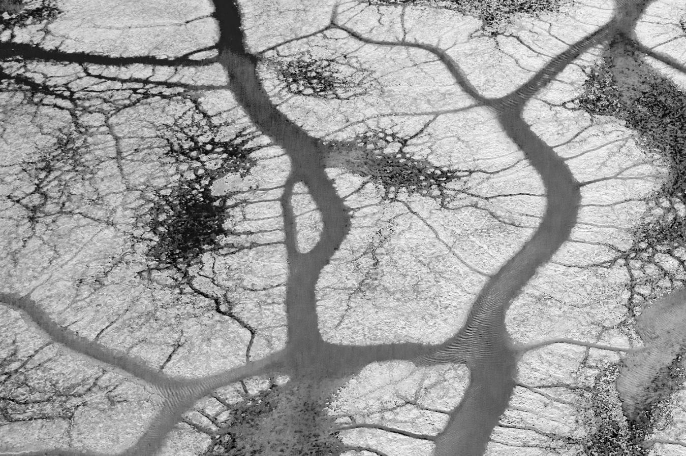 Aerial view of the natural shapes and textures of a lake, taken with a drone