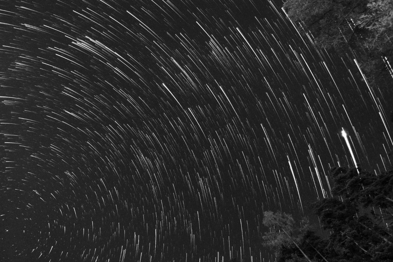 Star Trail Photo (detail)