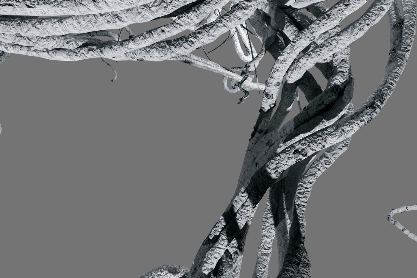 Cords winding around each other, the surface of which appears emarginated in relief.