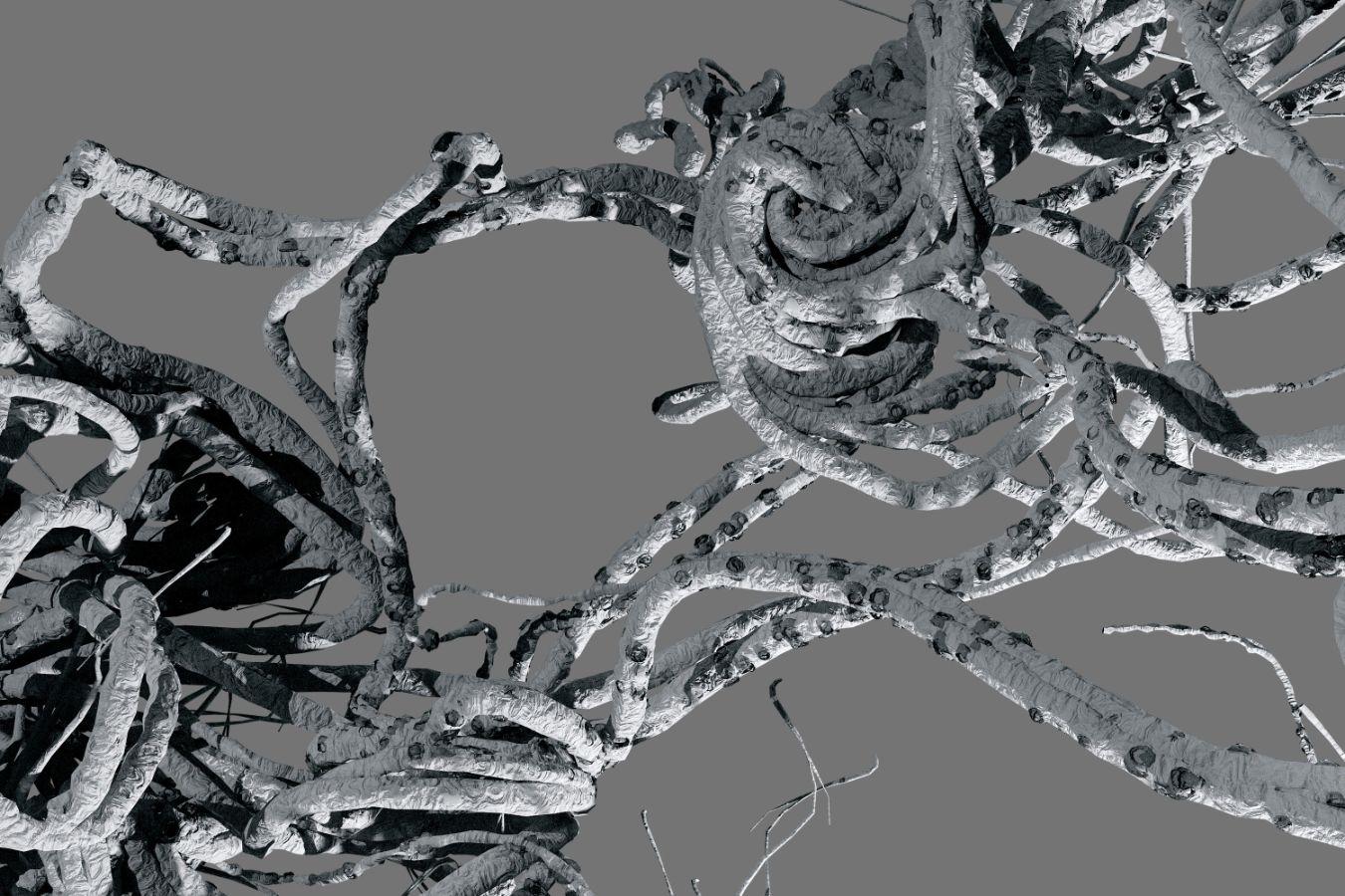 Cords winding around each other, the surface of which appears emarginated in relief.