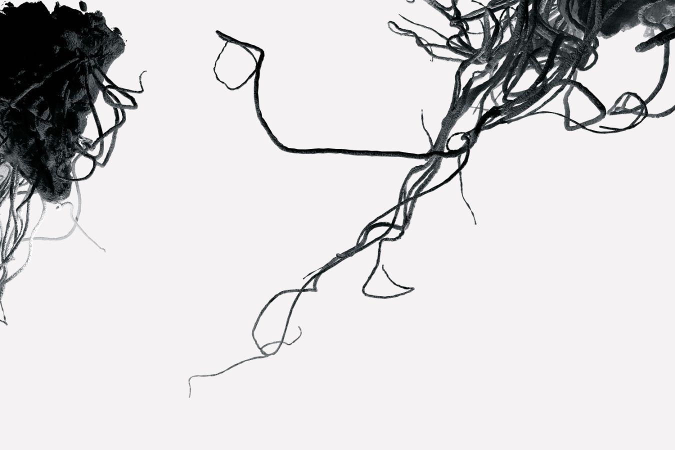 Clusters of threads move across the white image area, emerging from a lump-like structure.