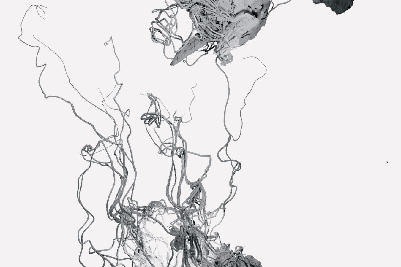 Clusters of threads move across the white image area, emerging from a lump-like structure.