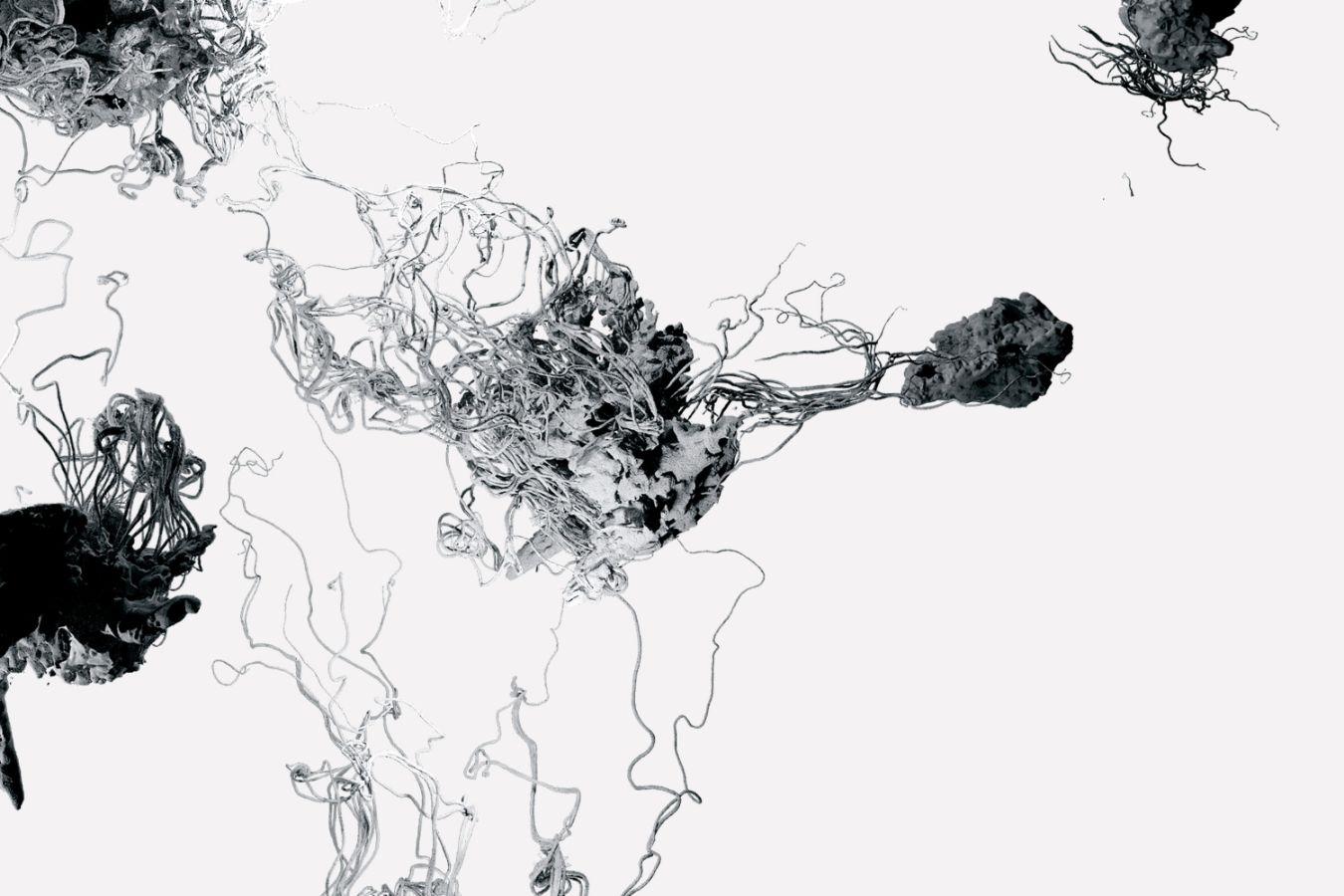 Clusters of threads move across the white image area, emerging from a lump-like structure.