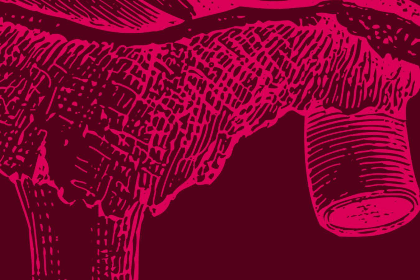 Section of an anatomical drawing of the outer and middle ear.