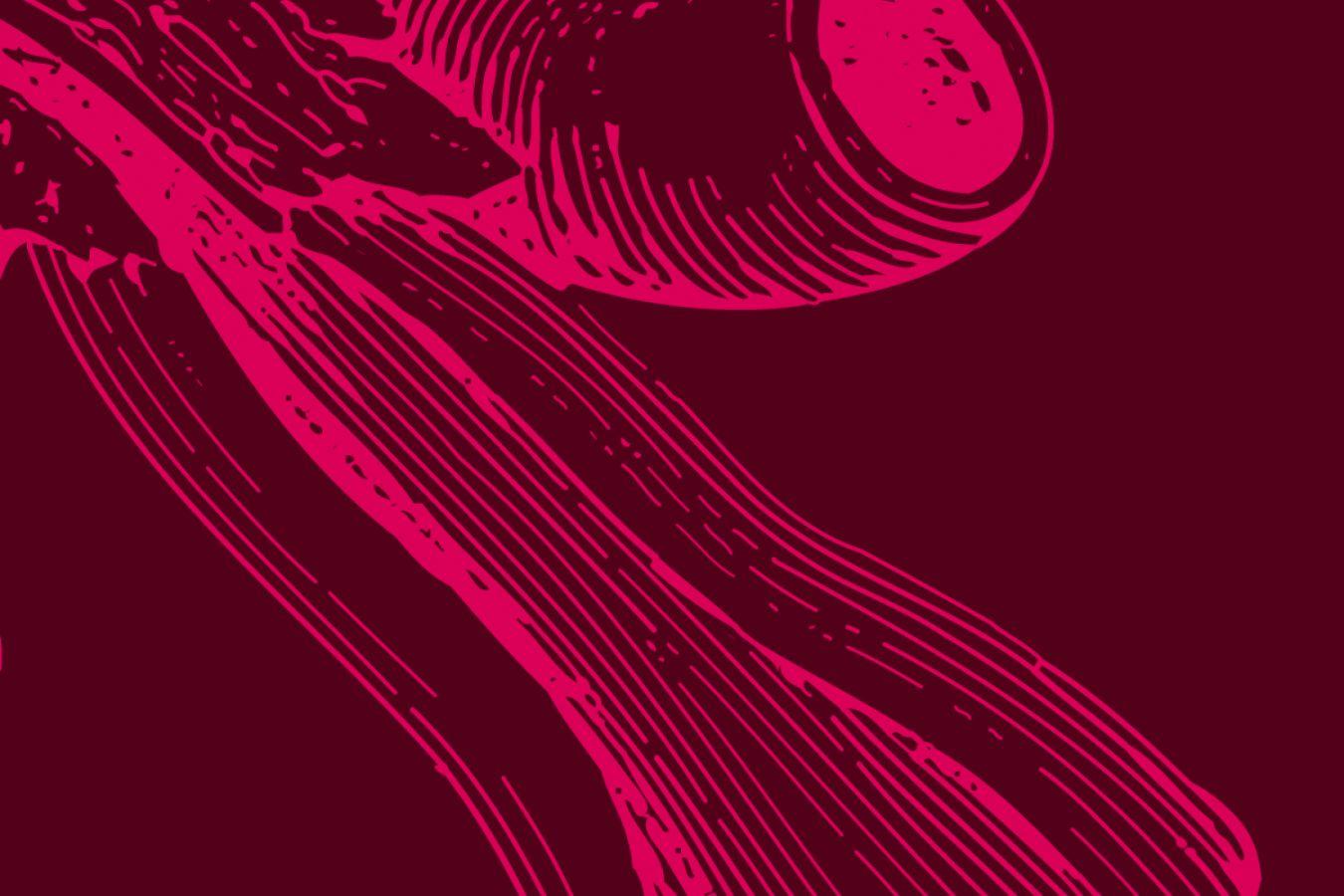 Section of an anatomical drawing of the outer and middle ear.