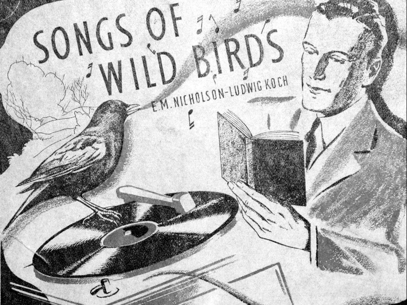 Ludwig Koch, „Songs of Wild Birds“, Sound Book, Cover, 1936 © British Library Sound Archive