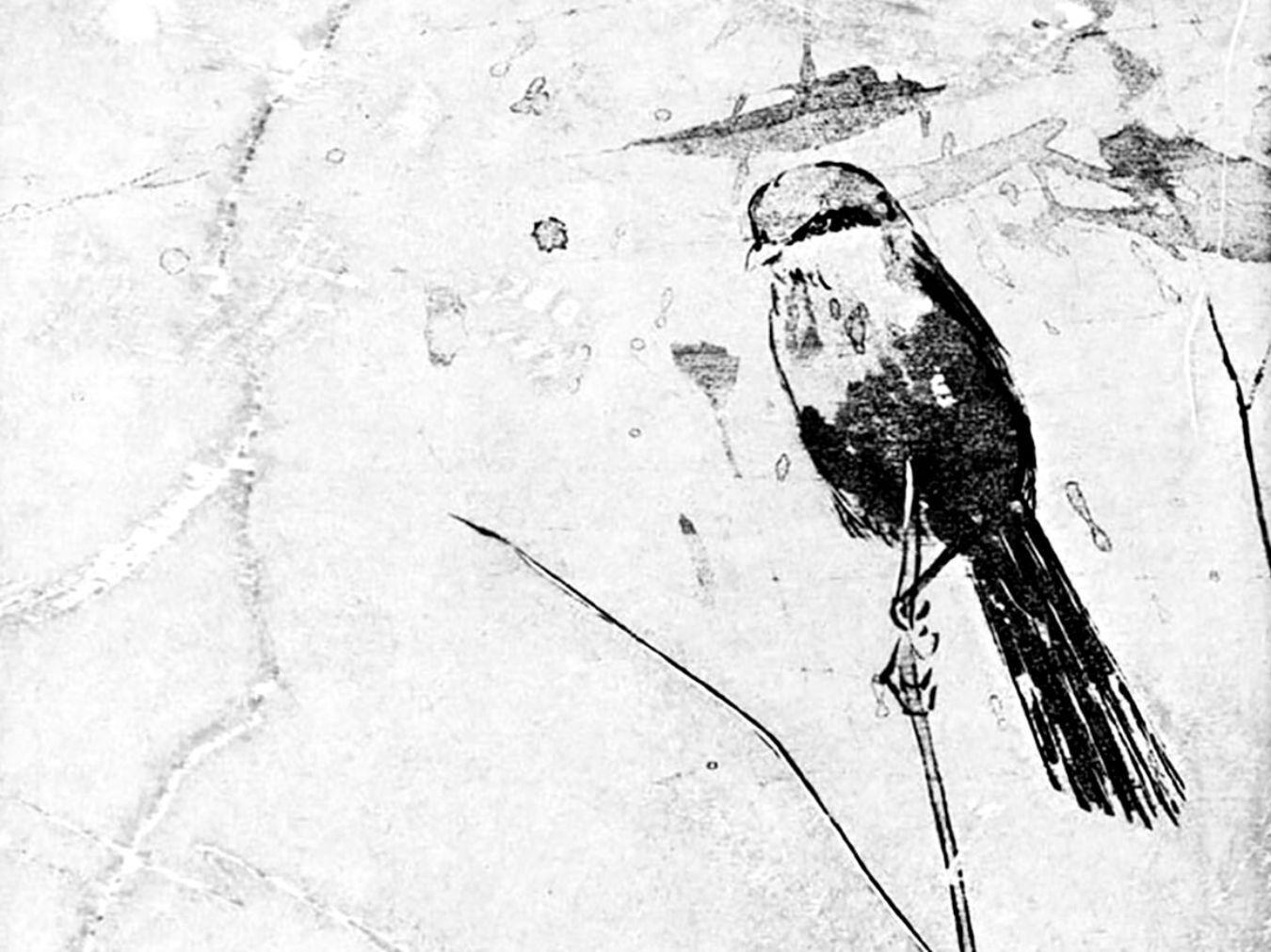 Tadashi Kobayashi, “The Shrike”, 2004; Photo: Library of Congress