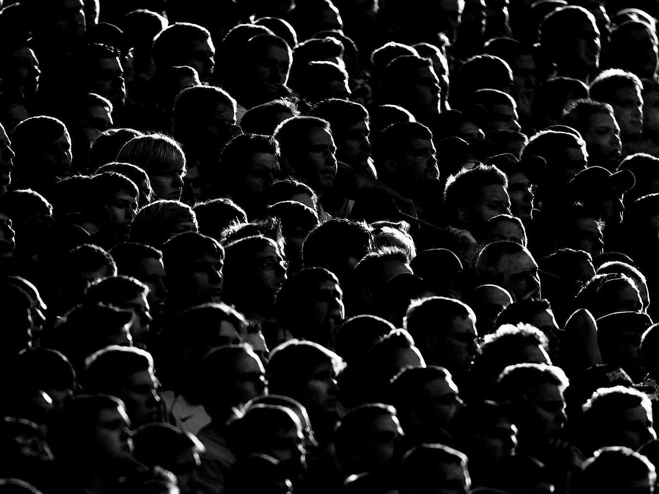 South stand in grazing light © Willem gr. Darrelmann