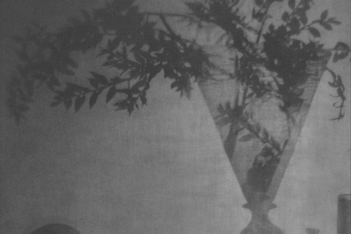 Adolphe de Meyer, Glass and Shadows, Photogravüre 1912