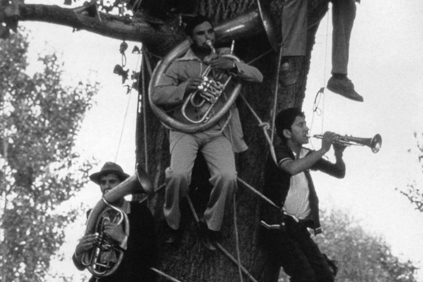 Musizierende Männer hängen an Schnüren in einem Baum.