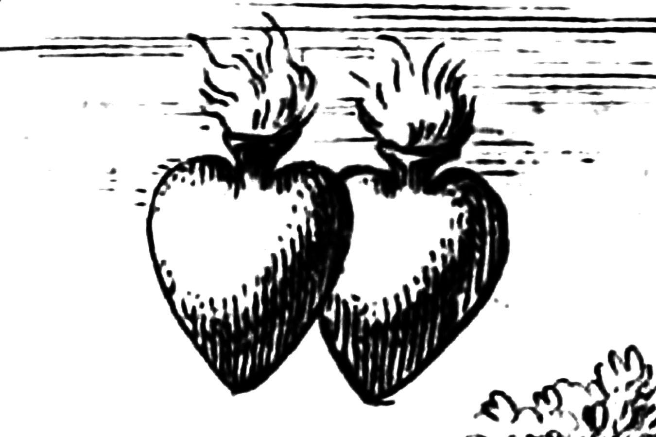 Drawing of two floating hearts with flames