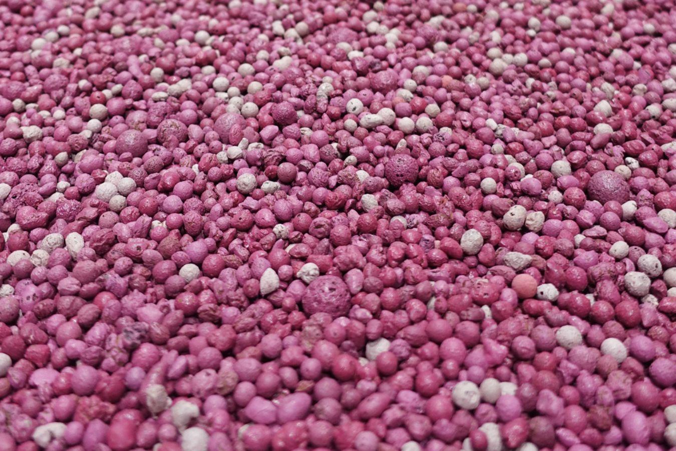 A close-up of pink granules