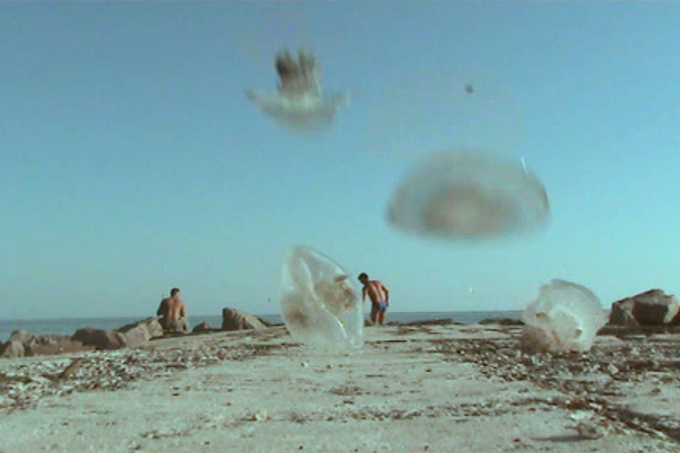 Quallen fallen auf einem Strand, im Hintergrund befinden sich zwei Fischer mit nackten Oberkörpern.