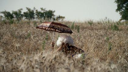 A person is crouching in a field, holding a parasol.