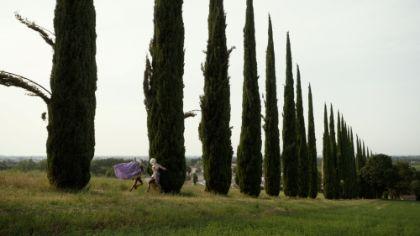 Two people in magnificent clothing are walking in front of a row of cypress trees.
