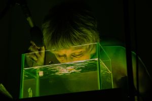 Ute Wassermann holds her head above a greenish illuminated water basin.