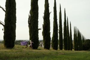 Two people in magnificent clothing are walking in front of a row of cypress trees.