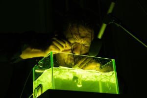 A man bends over a green-lit basin of water into which he is holding a spoon.