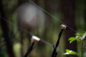 Close-up: Two strings are stretched across somewhere outside. Two microphones record their sound.