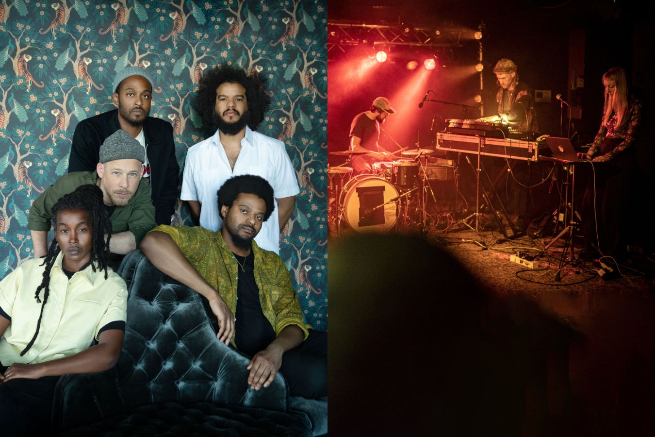 Irreversible Entanglements // Clay Kin