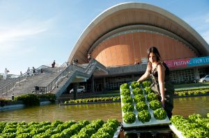 Eine Person trägt ein Tablett mit Salatköpfen vor dem Haus der Kulturen der Welt