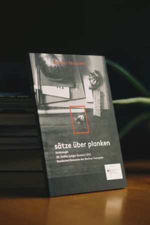 Umschlag der Anthologie 28. Treffen junger Autor*innen 2013