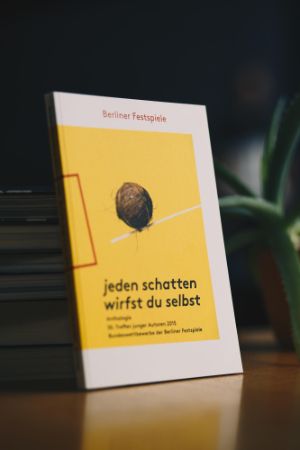 Umschlag der Anthologie 30. Treffen junger Autor*innen 2015