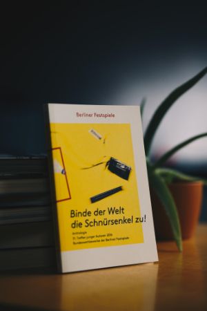 Umschlag der Anthologie 31. Treffen junger Autor*innen 2016