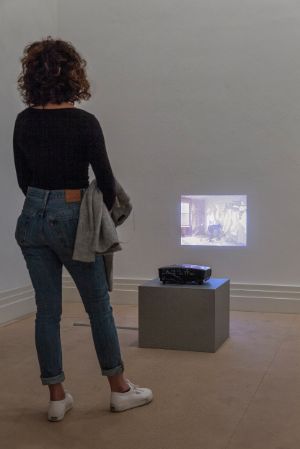 Dara Friedman, Whip Whipping the Wall, 1998–2002