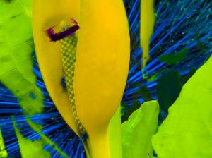 Heather Phillipson, “Mesocosmic Indoor Overture” (Detail), 2019, Still from multi-screen video installation