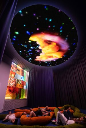 Pipilotti Rist, „Homo sapiens sapiens“, 2005