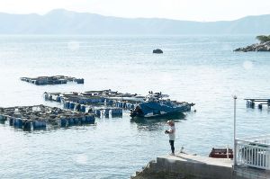 Film still from “Ballad on the Shore”